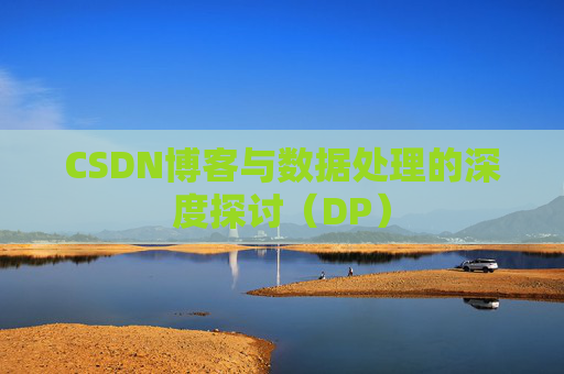CSDN博客与数据处理的深度探讨（DP）